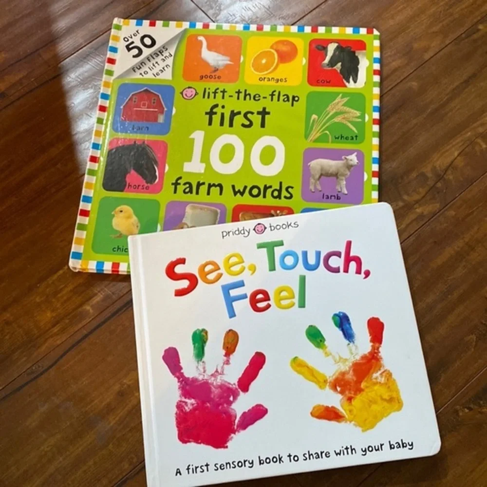 2 Baby educational First 100 words and Sensory‎ See, Touch Feel book
